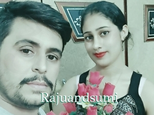 Rajuandsumi